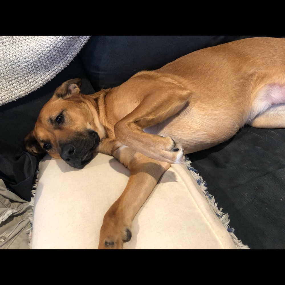 Meet your Posher, Ellie